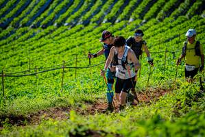 BIB: 2000, 2244
                            <button type="button" onclick="openModal(19161355)" class="btn btn-primary btn-sm float-right btn-popup" data-toggle="modal" data-target=".modal-high-quality">
                        <i class="fas fa-shopping-cart"></i> Add to Cart
                    </button>
                                            <button type="button" onclick="isThisMe(19161355, true)" class="btn btn-success btn-sm float-right btn-popup btn-isme hidden" data-toggle="tooltip" data-placement="bottom" title="นี่คือรูปของคุณใช่ไหม คลิกที่นี่เพื่อเอาเข้าอัลบั้ม">
                        <i class="fas fa-plus"></i> Add to album
                    </button>
                    <button type="button" onclick="isThisMe(19161355, false)" class="btn btn-warning btn-sm float-right btn-popup btn-isnotme hidden">
                        <i class="fas fa-ban"></i> Remove from album
                    </button>